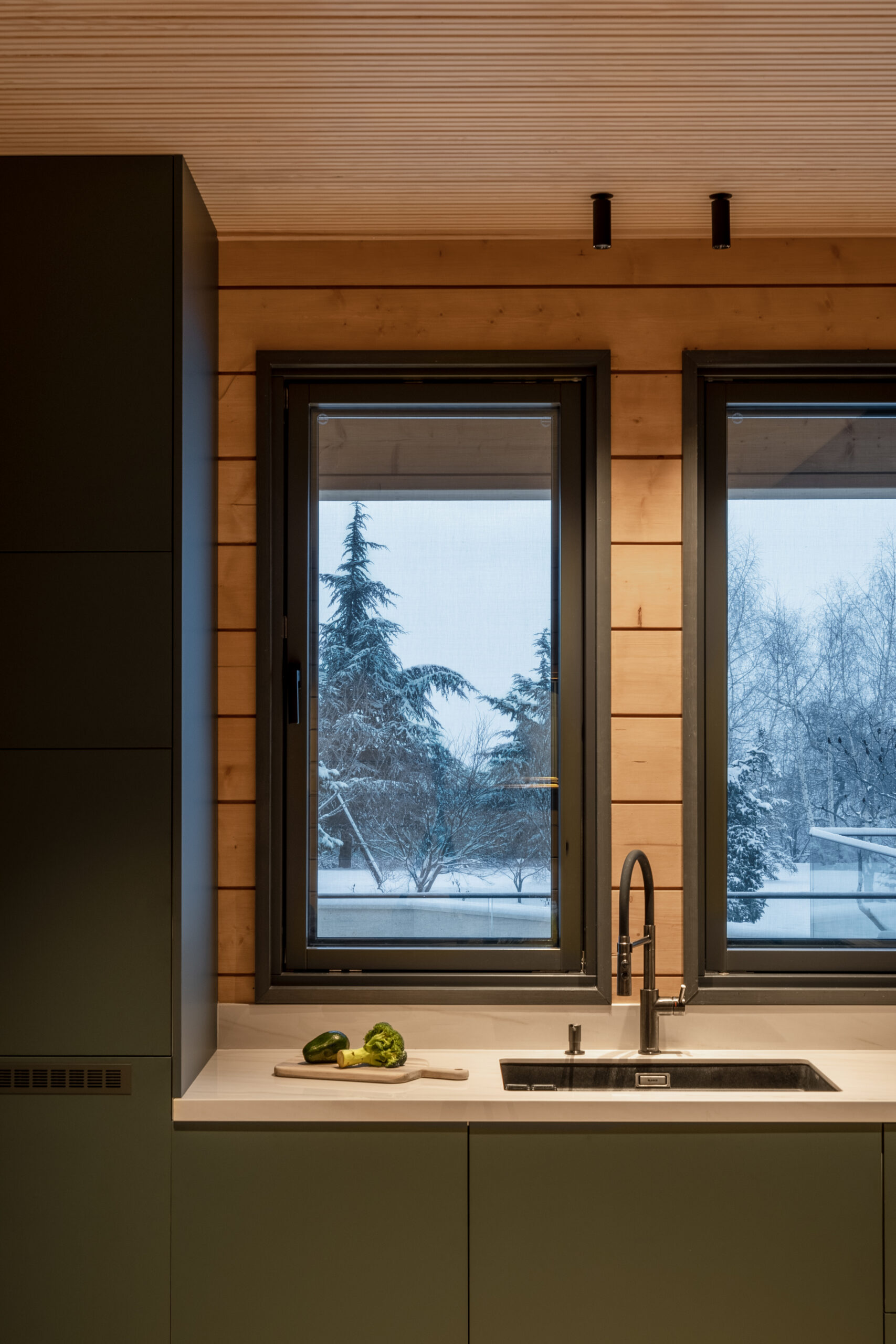Kitchen counter with windows framing the winter garden outside